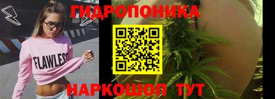 гидра Малоярославец