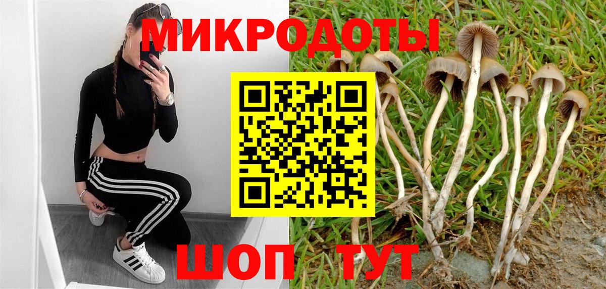 Галлюциногенные грибы Magic Shrooms  Вход с VPN  Псилоцибиновые грибы мухоморы  Дербент 